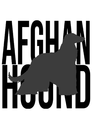 Afghan Hound