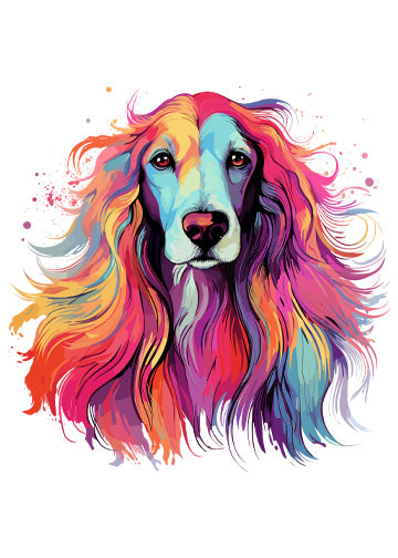 Afghan Hound