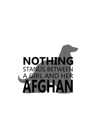 Afghan Hound