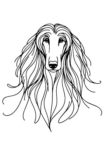 Afghan Hound