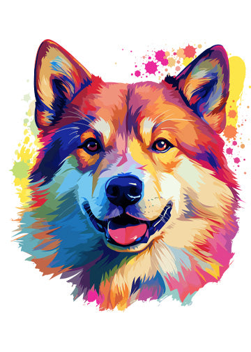 Akita