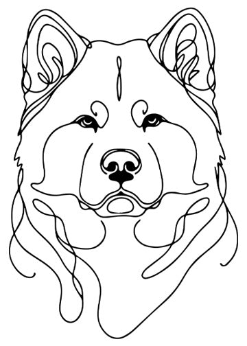 Akita