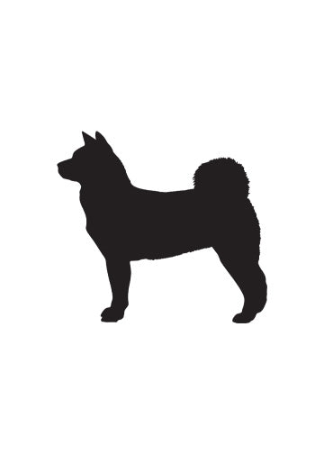 Akita