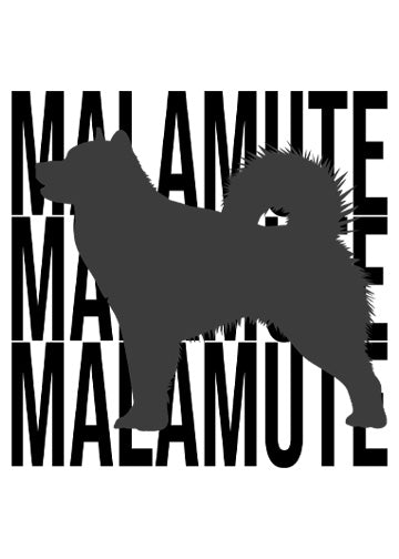Alaskan Malamute