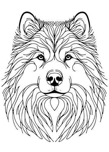 Alaskan Malamute
