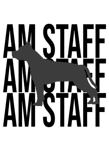 American Staffordshire Terrier