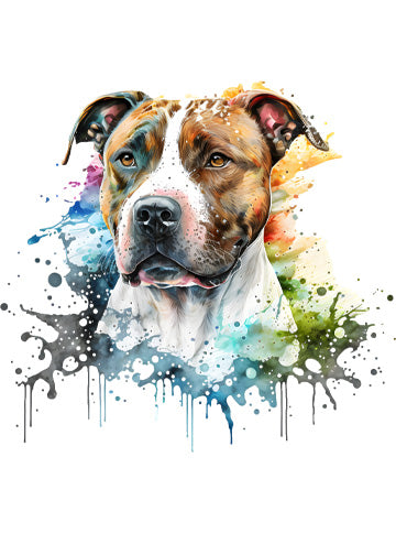 American Staffordshire Terrier