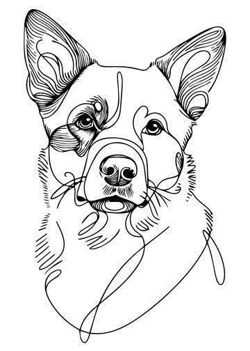 Australian Cattle Dog