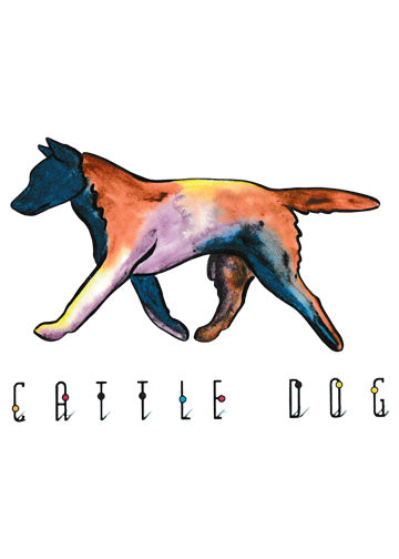 Australian Cattle Dog