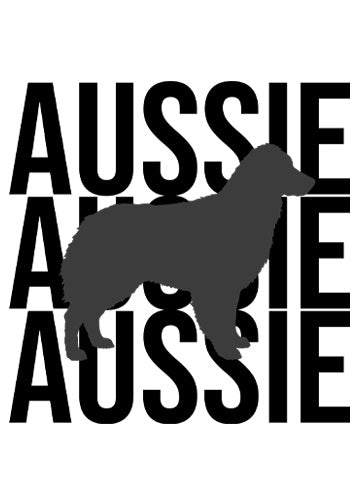 Australian Shepherd