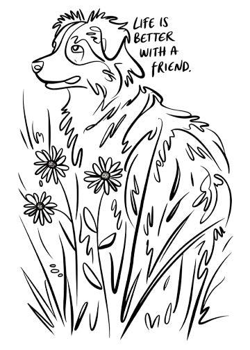 Australian Shepherd