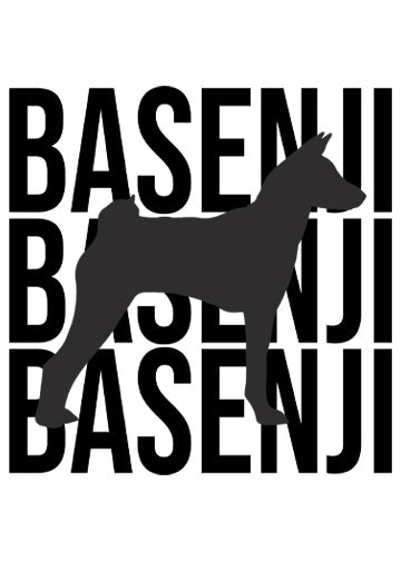 Basenji