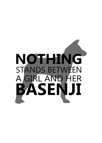 Basenji