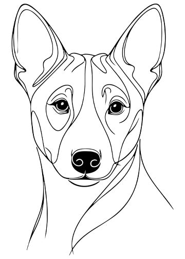 Basenji