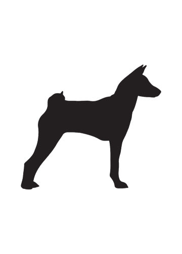 Basenji