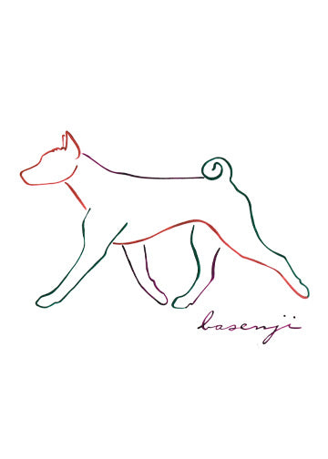 Basenji