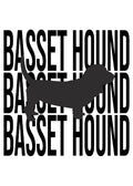 Basset Hound