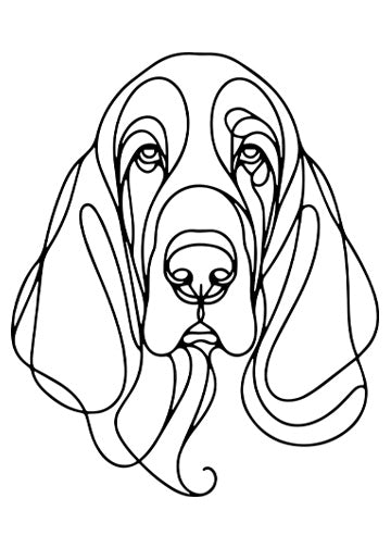 Basset Hound