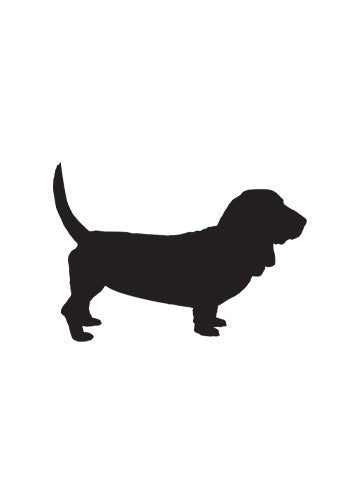 Basset Hound