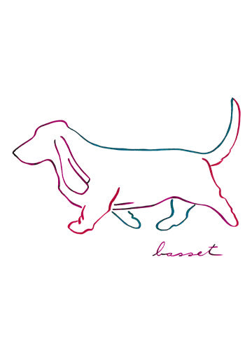 Basset Hound