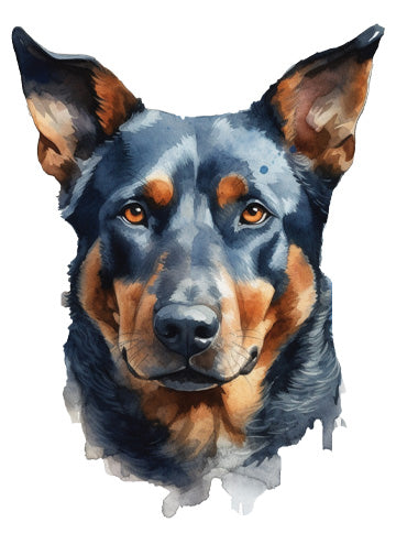 Beauceron