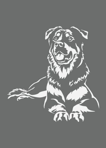 Beauceron