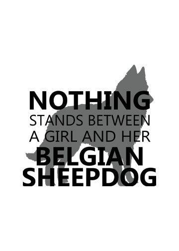 Belgian Sheepdog