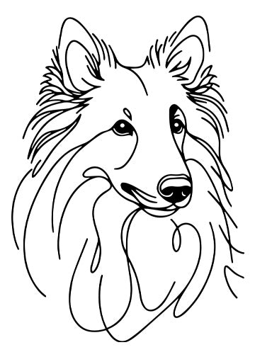 Belgian Tervuren
