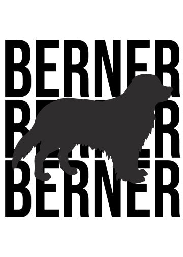 Bernese Mountain Dog