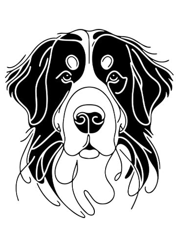 Bernese Mountain Dog
