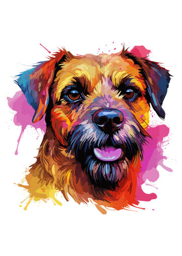 Border Terrier