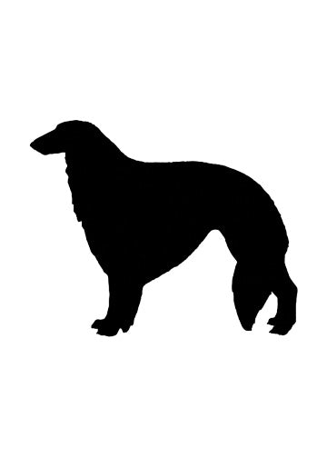 Borzoi