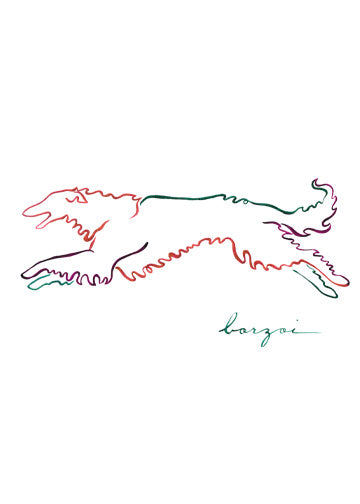 Borzoi