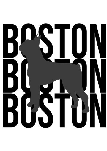 Boston Terrier