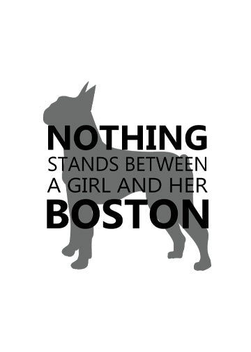 Boston Terrier