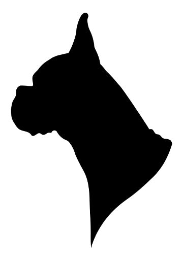 Boxer