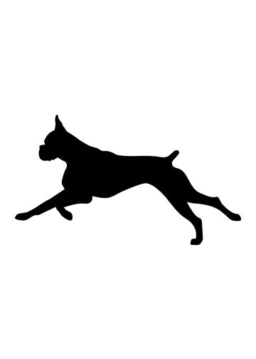 Boxer