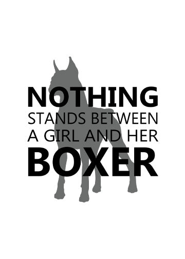 Boxer