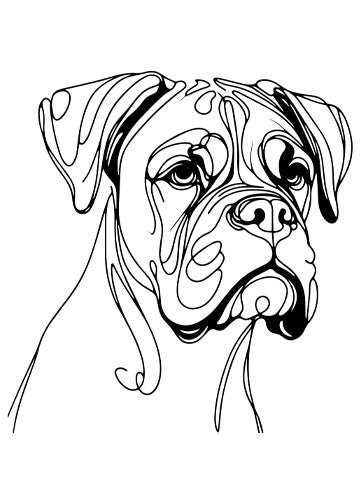 Boxer