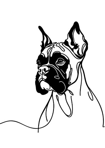 Boxer