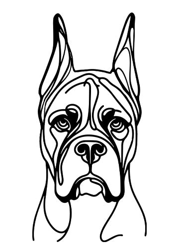 Boxer