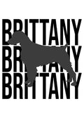 Brittany Spaniel