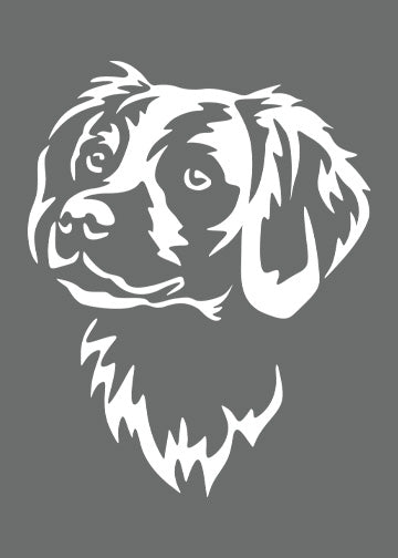 Brittany Spaniel