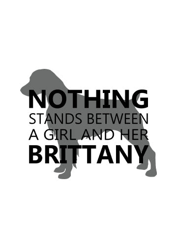 Brittany Spaniel