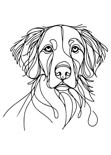 Brittany Spaniel