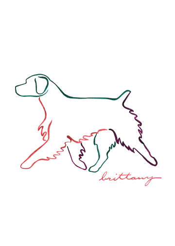 Brittany Spaniel