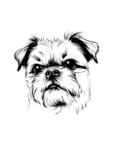 Brussels Griffon