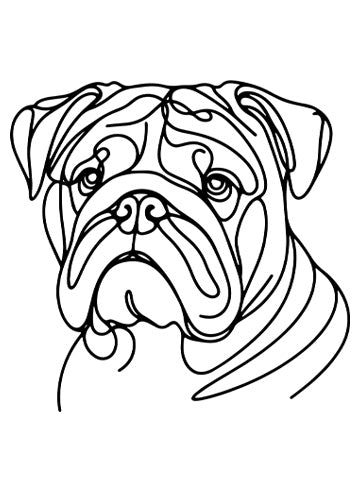 Bulldog