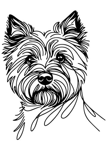 Cairn Terrier