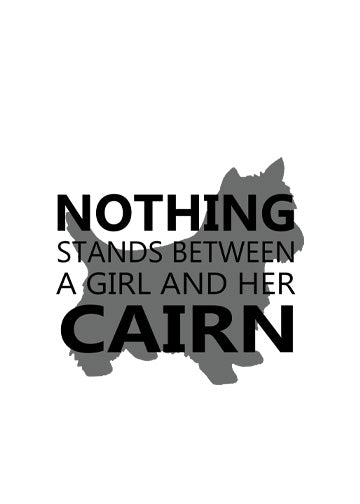 Cairn Terrier